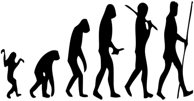 10_18_2013_human-evolution