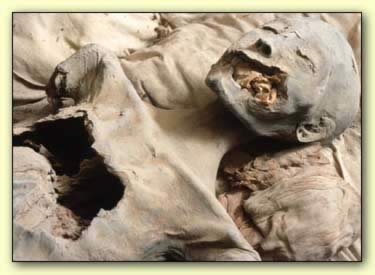 Krallar Vadisi'nde Nefertiti'ye ait olduğu sanılan mumya