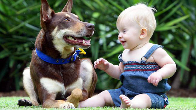 köpek yavrusu ve çocuk